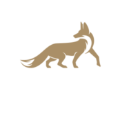 LIVA_ESTETES_LOGO_KOLOR